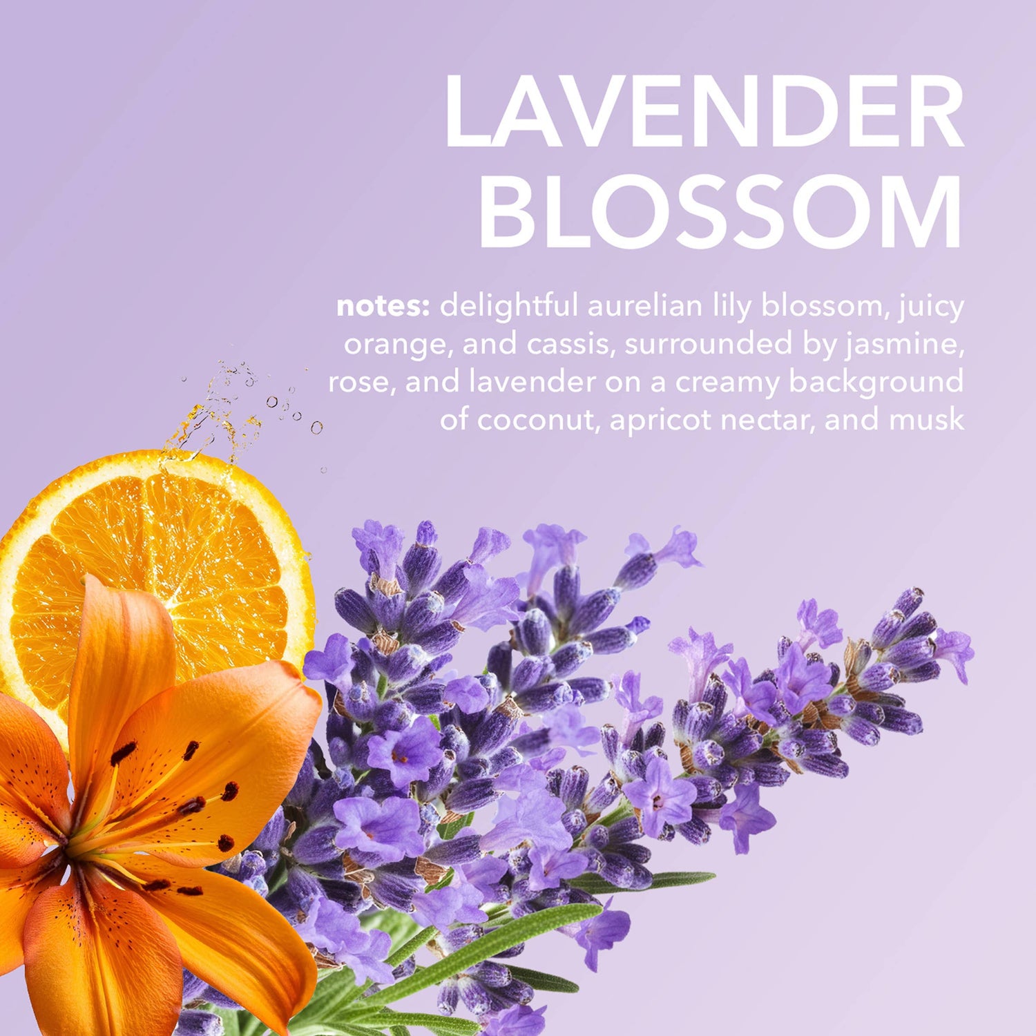 Dionis Lavender Blossom Whipped Goat Milk Body Scrub, 8 oz
