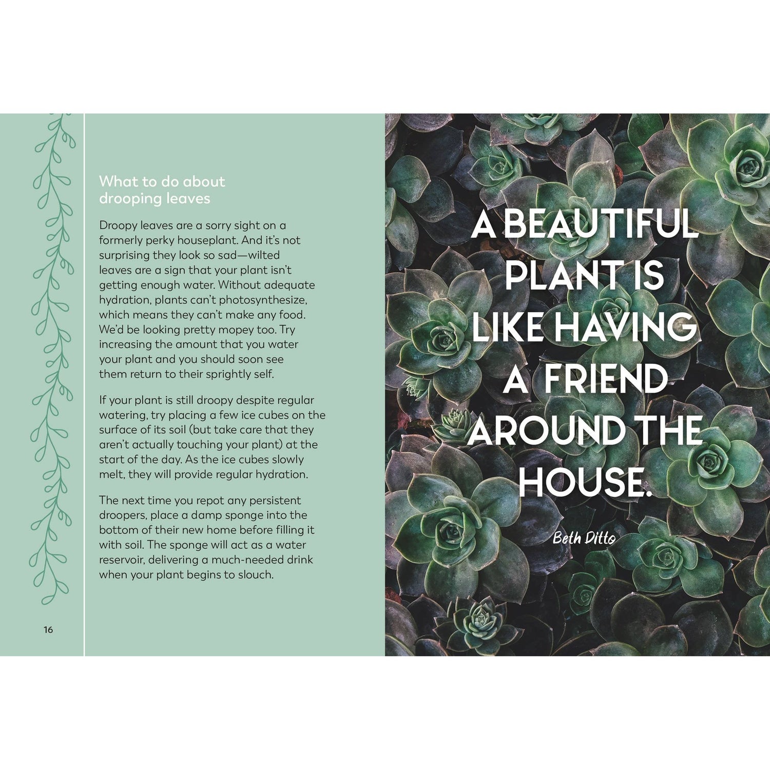The Little Book for Plant Parents