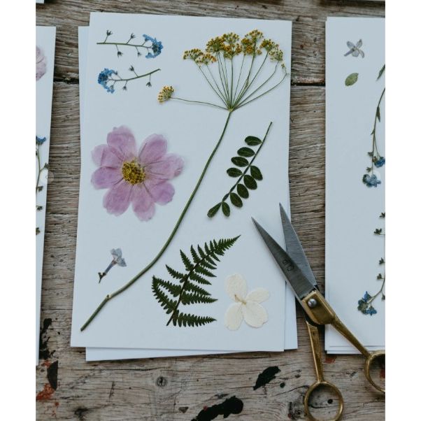 The Forager's Book of Wildflowers - Flower Press