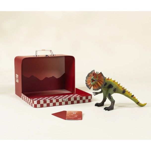 Dilophosaurus Dinosaur in a Collectible Box