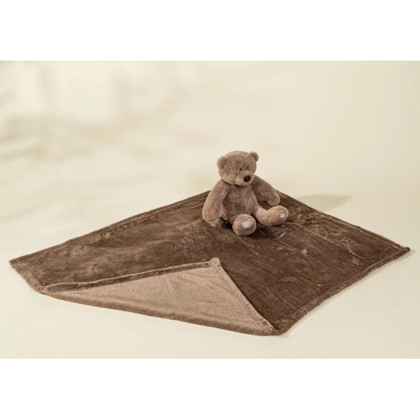 Bear Plush Toy Snuggling Blanket