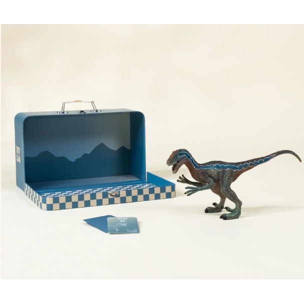Velociraptor Dinosaur in a Collectible Box