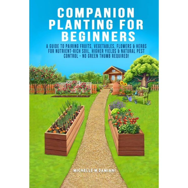 Companion Planting for Beginners