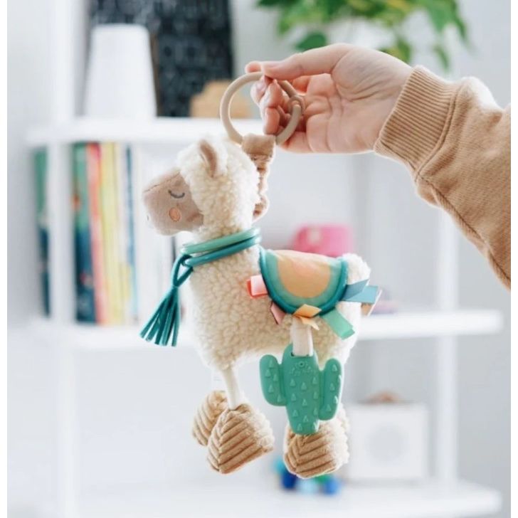 Link & Love Teething Toy