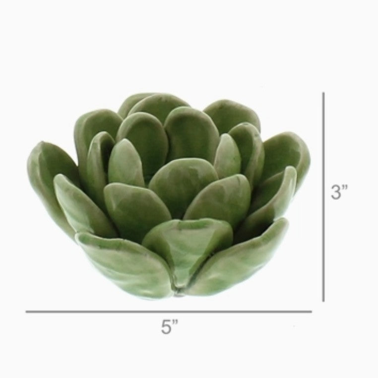 Succulent Tealight Holder